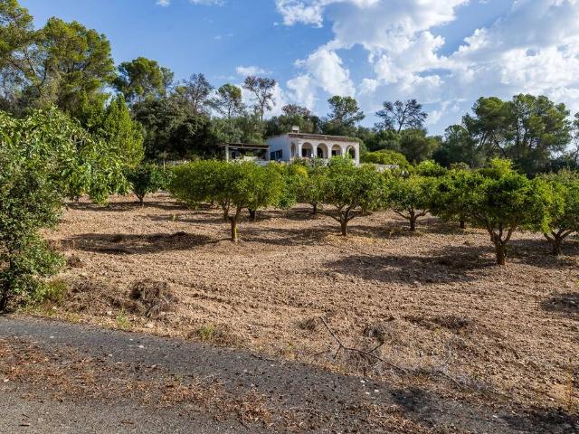 Terreno en venta en Pla de Mallorca, Baleares