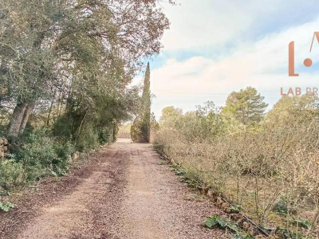 Terreno en venta en Pla de Mallorca, Baleares