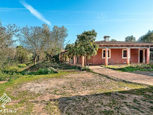 Terreno en venta en Pla de Mallorca, Baleares