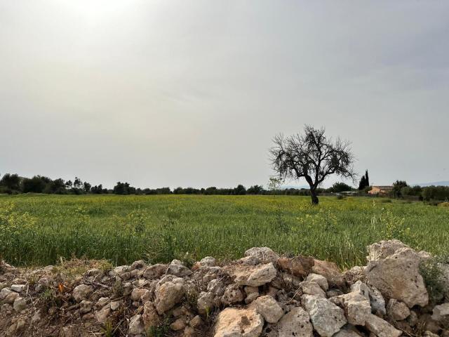 Terreno en venta en Pla de Mallorca, Baleares