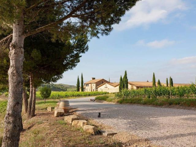 Terreno en venta en Pla de Mallorca, Baleares