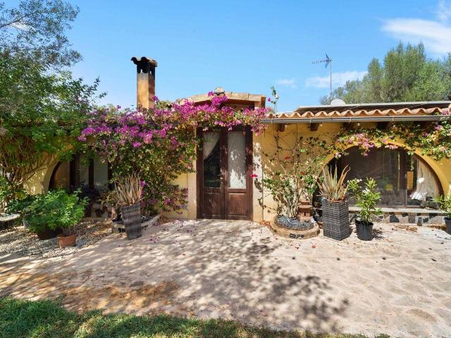 Terreno en venta en Pla de Mallorca, Baleares