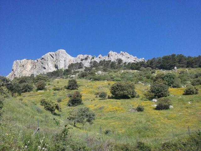 Terreno en venta en Serranía de Ronda, Andalucía