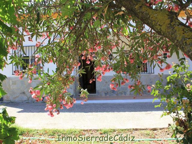 Terreno en venta en Sierra de Cádiz, Andalucía