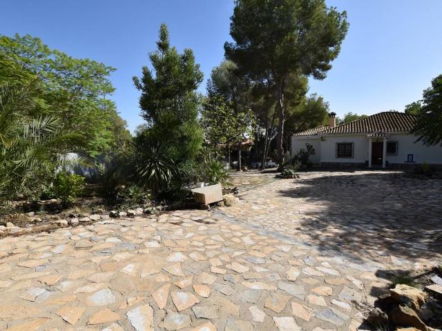 Terreno en venta en Algorfa Terreno en venta en Algorfa