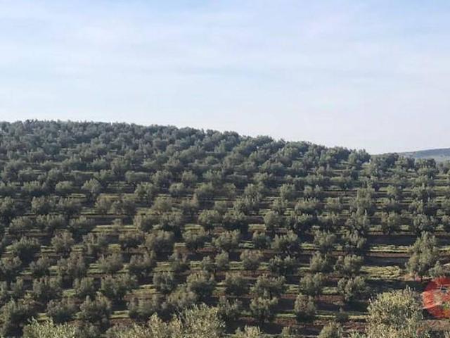 Terreno en venta en Alhama De Granada