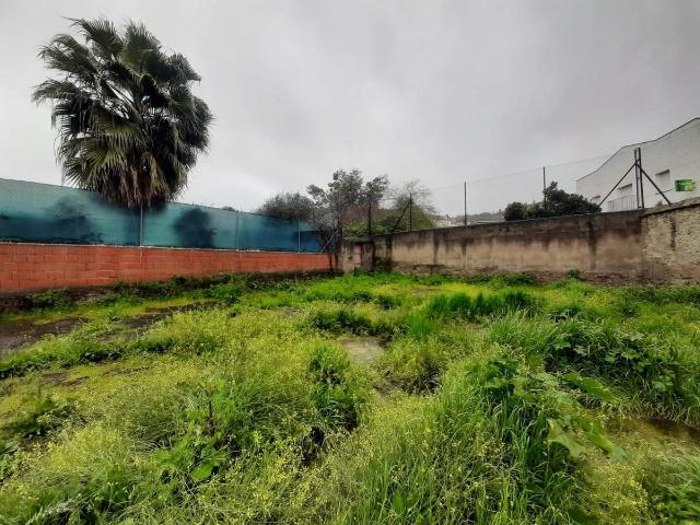 Terreno en venta en Aliseda