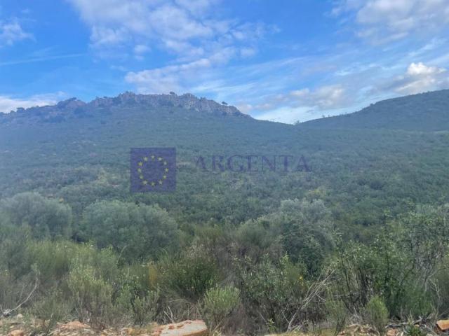 Terreno en venta en Aliseda, Extremadura