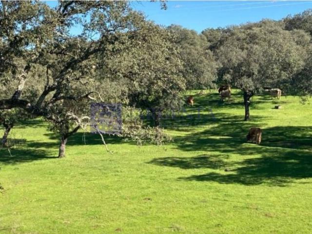 Terreno en venta en Aliseda