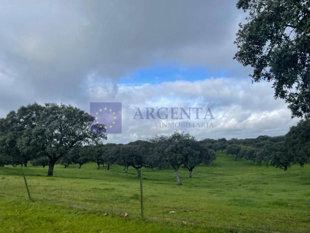 Terreno en venta en Aliseda, Extremadura