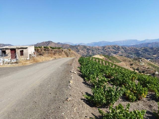 Terreno en venta en Almáchar, Río Almáchar