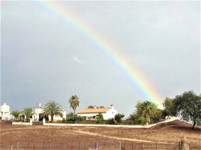 Terreno en venta en Almadén De La Plata, Andalucía