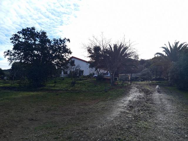 Terreno en venta en Almadén De La Plata, Andalucía
