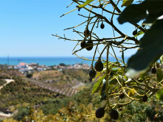 Terreno en venta en Capuchinos, La Axarquía