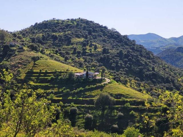 Terreno en venta en Valle del Guadalhorce, Andalucía
