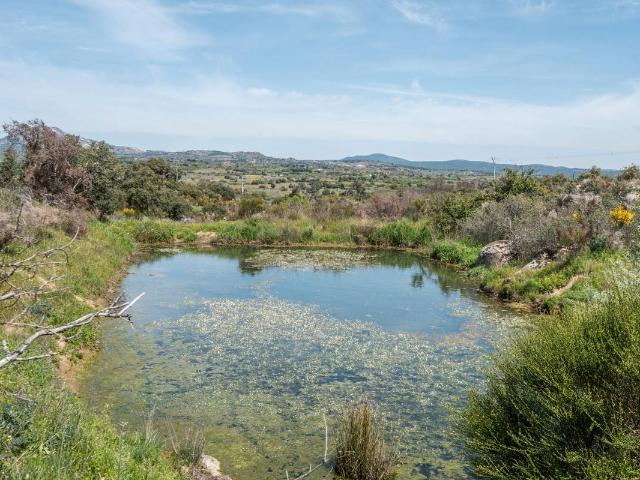 Terreno en venta en Almorox, Castilla-La Mancha