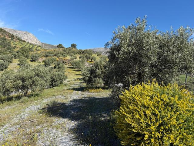 Terreno en venta en Valle del Guadalhorce, Andalucía