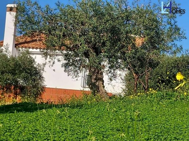 Terreno en venta en Álora, El Puente