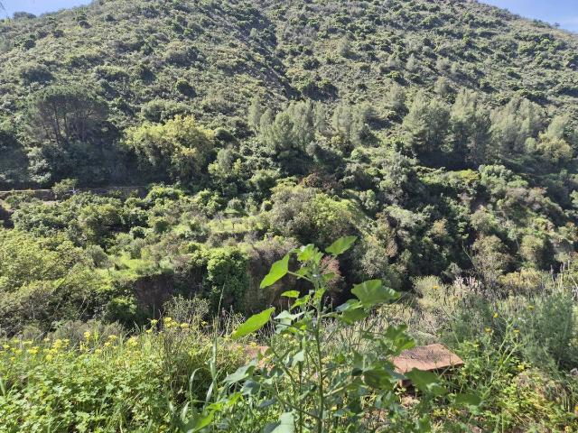 Terreno en venta en Alozaina