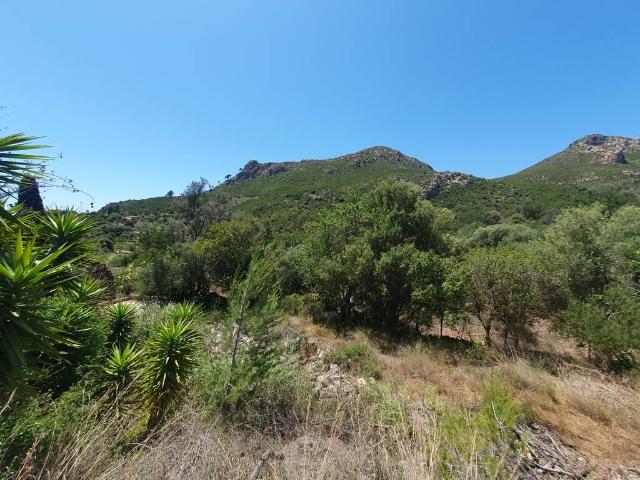 Terreno en venta en Serra de Tramuntana, Baleares