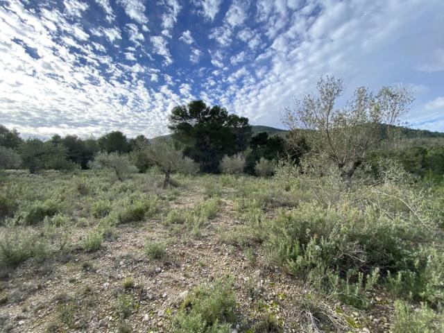 Terreno en venta en la Costera, Valencia