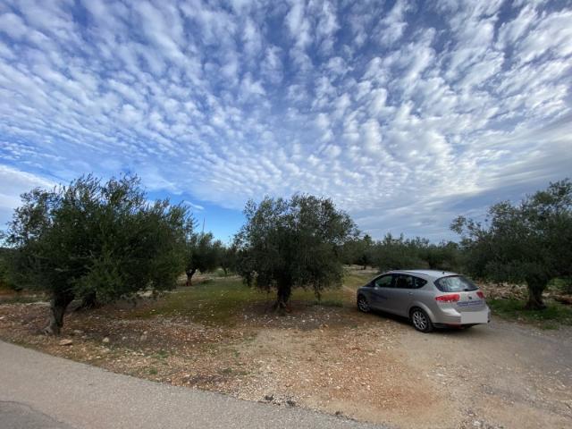 Terreno en venta en La Canal de Navarrés, Valencia