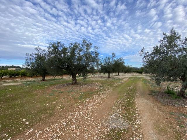 Terreno en venta en La Canal de Navarrés, Valencia
