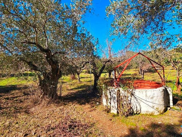 Terreno en venta en Sierra de Huelva, Andalucía