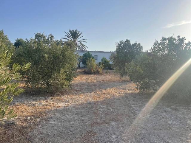 Terreno en venta en Arcos de la Frontera, Cádiz