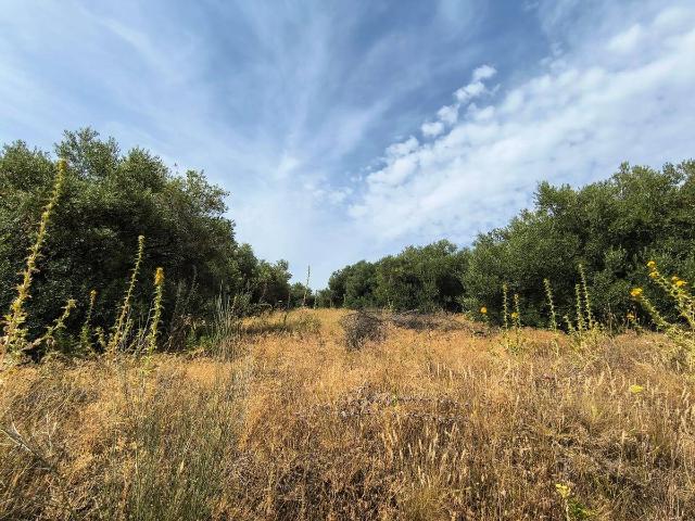 Terreno en venta en Sierra de Cádiz, Andalucía