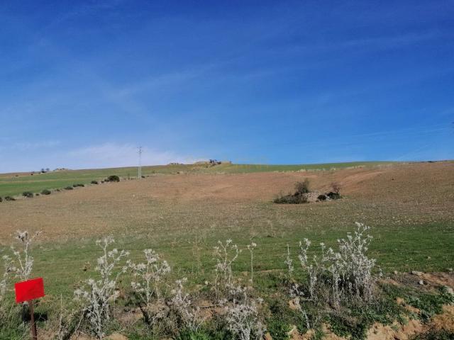 Terreno en venta en Ardales