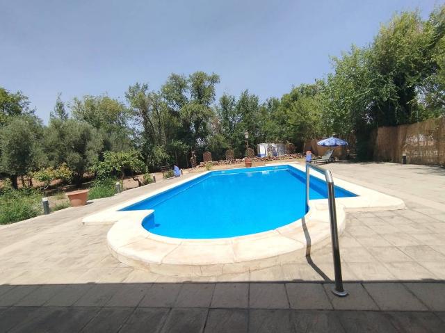 Terreno en venta en Argamasilla De Alba, Castilla-La Mancha