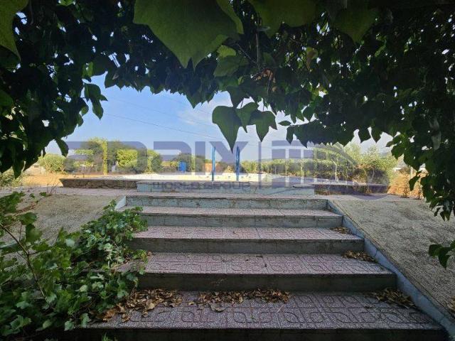 Terreno en venta en Argamasilla De Calatrava, Castilla-La Mancha