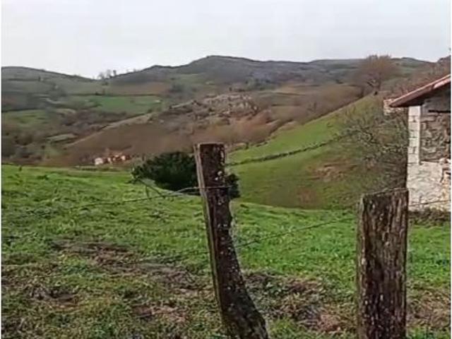 Local Comercial en venta en Arredondo, Cantabria