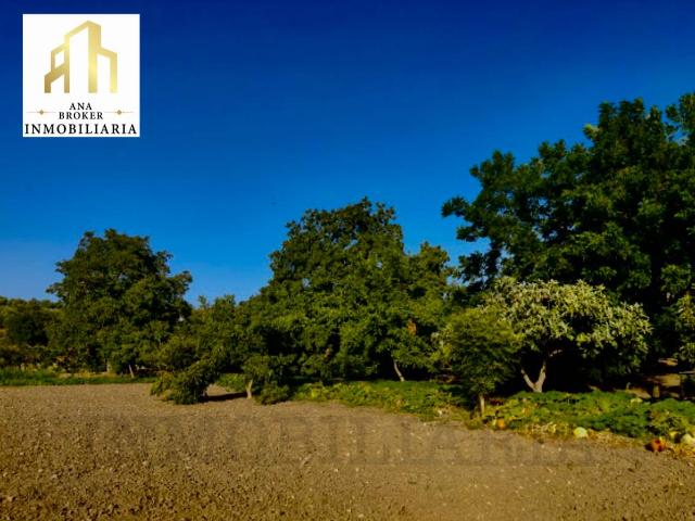 Terreno en venta en Serranía de Ronda, Andalucía