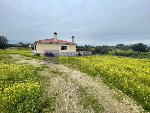 Terreno en venta en Arroyo De La Luz