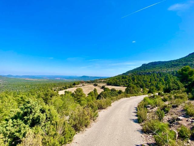 Terreno en venta en El Valle de Cofrentes-Ayora, Valencia