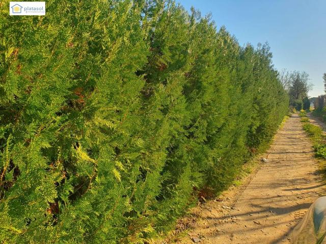 Terreno en venta en Aznalcázar, Andalucía