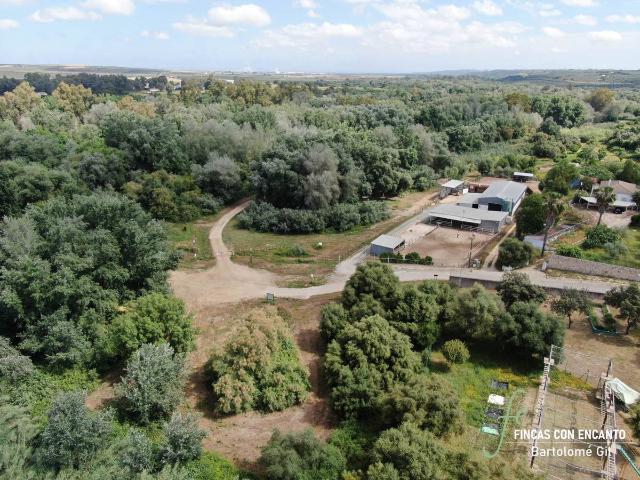 Terreno en venta en Aznalcázar, Andalucía