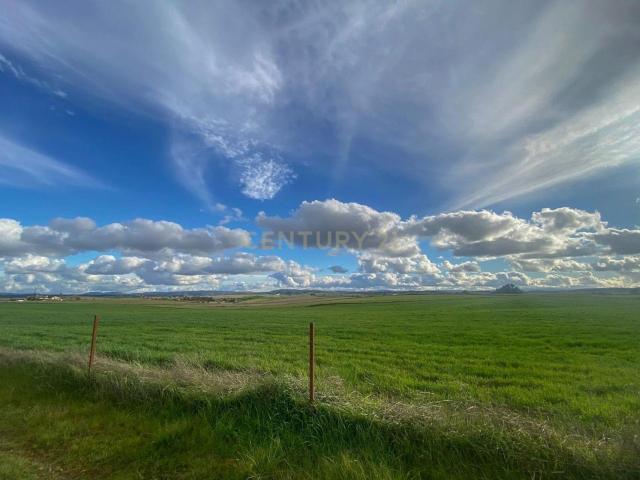 Terreno en venta en Azuaga, Badajoz