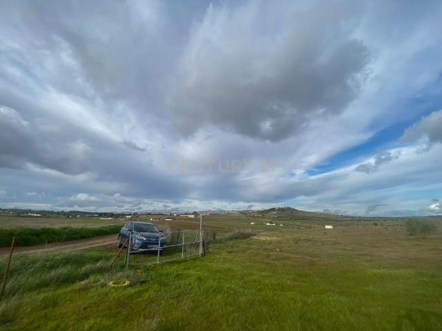Terreno en venta en Azuaga, Extremadura
