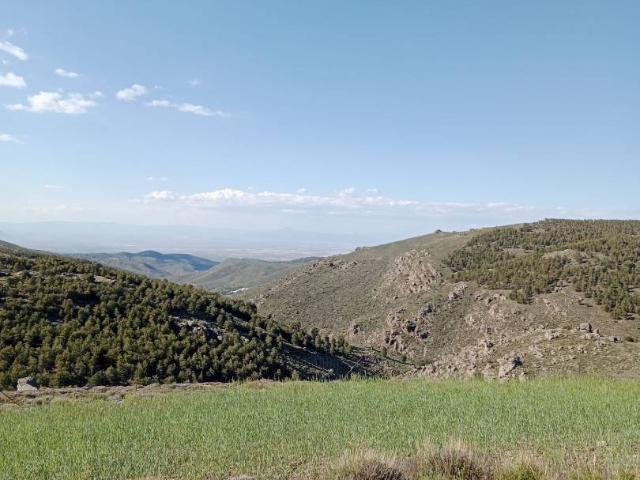 Terreno en venta en Velefique, Andalucía