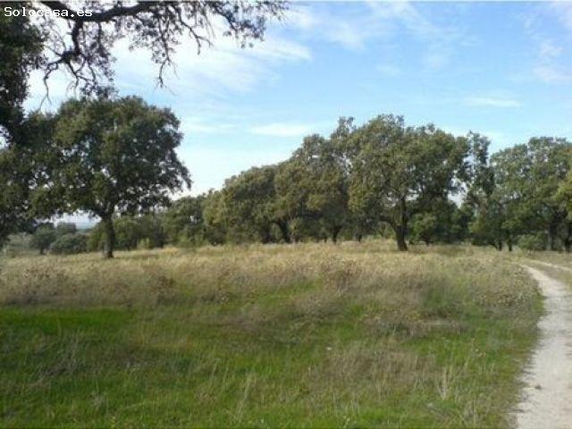 Local Comercial en venta en Santa Marta De Magasca, Extremadura