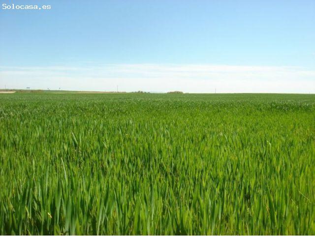Local Comercial en venta en Santa Marta De Magasca, Extremadura