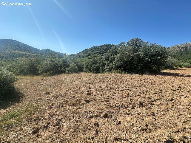 Local Comercial en venta en Allueva, Aragón
