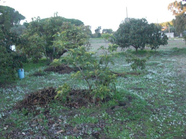 Terreno en venta en Residencial Las Pérgolas, La Janda