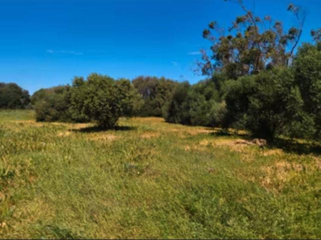 Terreno en venta en Residencial Las Pérgolas, La Janda
