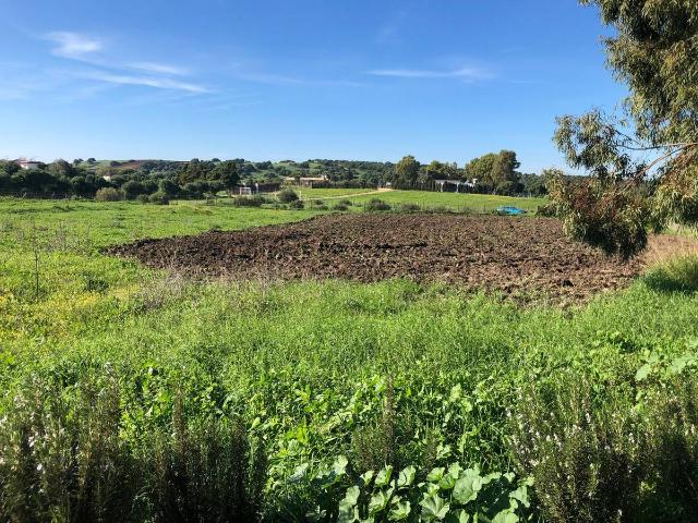 Terreno en venta en Residencial Las Pérgolas, La Janda