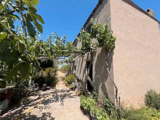 Terreno en venta en Conca de Barberà, Catalunya