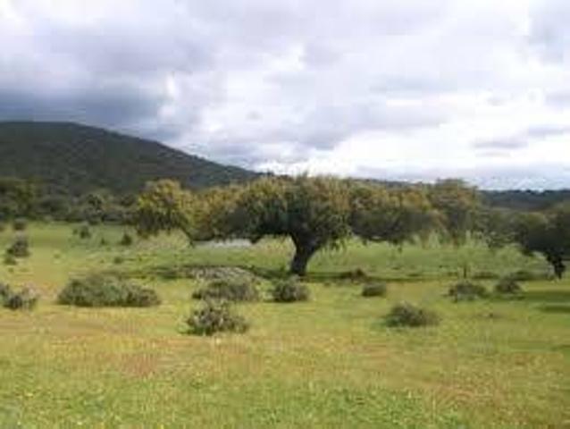 Terreno en venta en Barcarrota